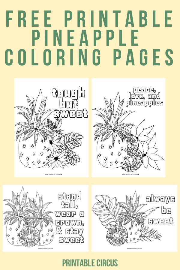 Free printable pineapple coloring pages: a FREE 4-page PDF with tropical pineapple coloring sheets just waiting to download, print, and color. Great for teenagers and adults alike!